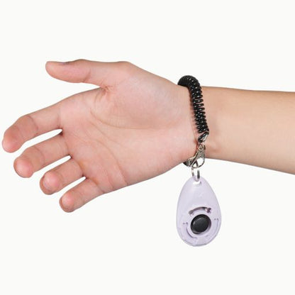 CLICK Training Tool