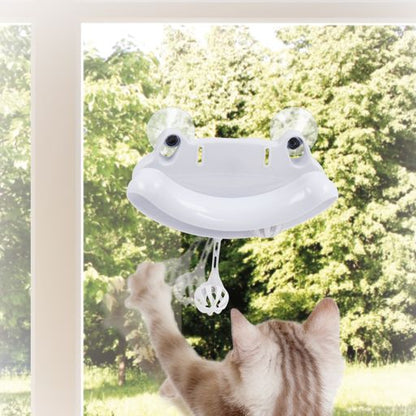 FROGGO Cat Toy