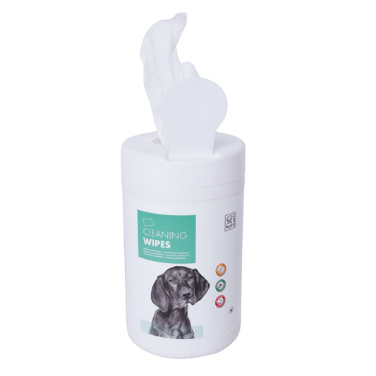 CLEANING Wipes-80 pcs 18*20.5 cm