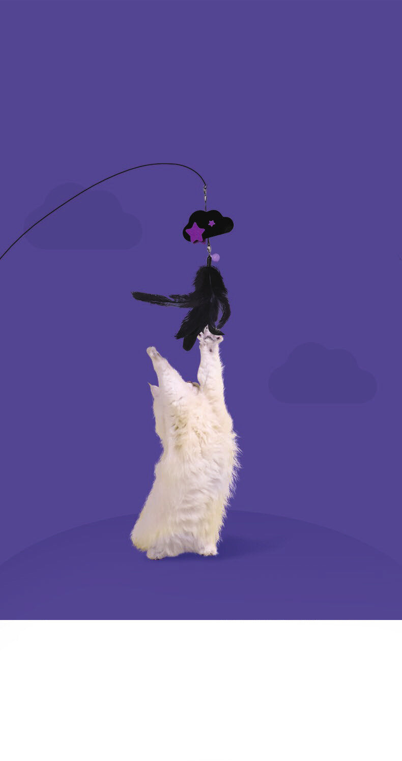 Luuks Up Sky Cat Teaser – Orange Cloud