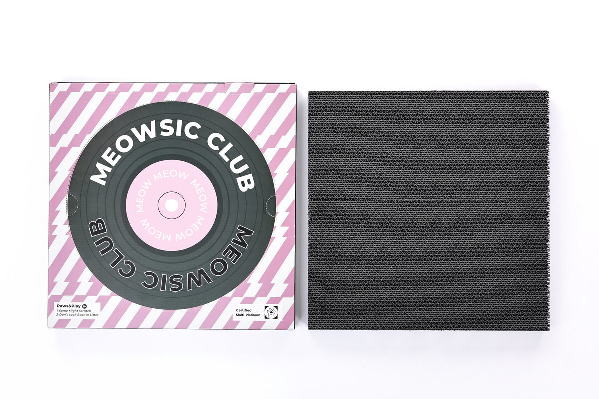 Luuks Up Vinyl Record Cat Scratcher