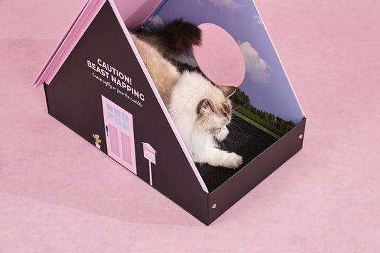 Luuks Up Sweet Home Cat Scratch House