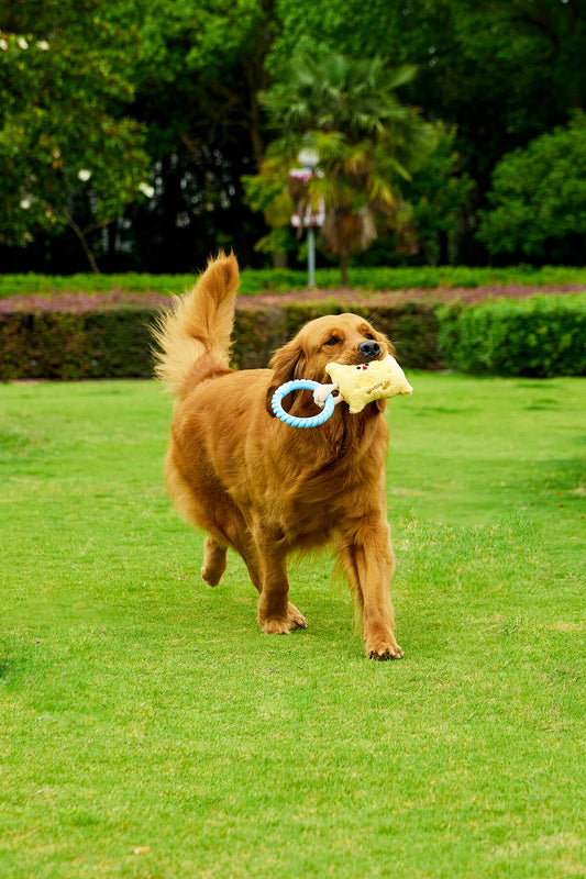 Luuks Up Tug Dog Toy – Cookie
