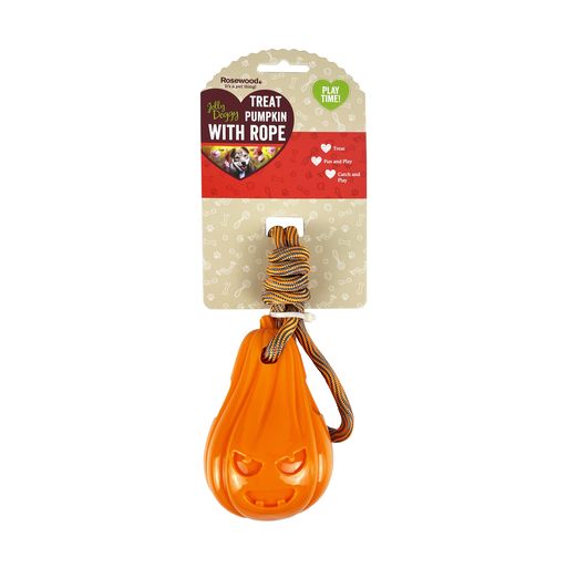 Treat Pumpkin with rope