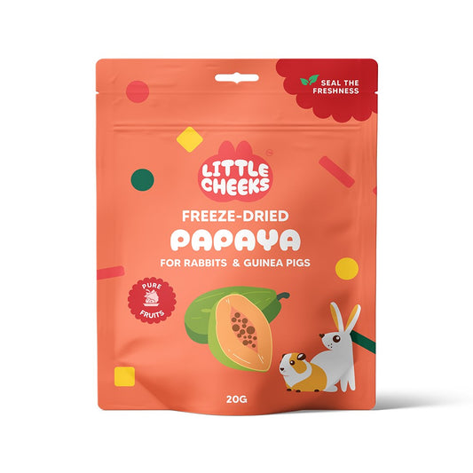 Little Cheeks Freeze Dried Papaya for Small Animal 20g