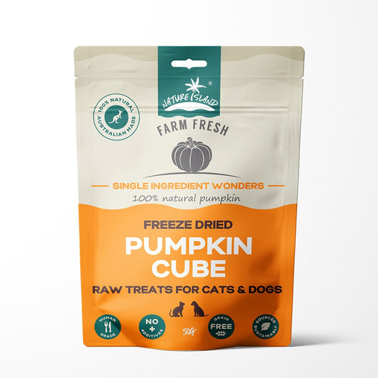 Nature Island Freeze-Dried Pumpkin Cubes – 50 g