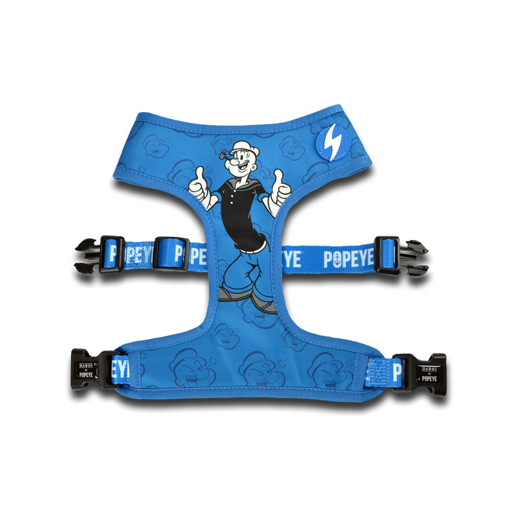 Popeye Neo Mesh
