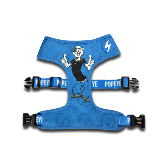 Popeye Neo Mesh