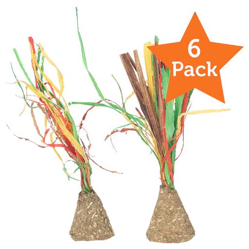 Alfalfa Sprouts