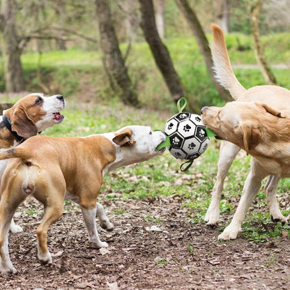SOCCER Ball