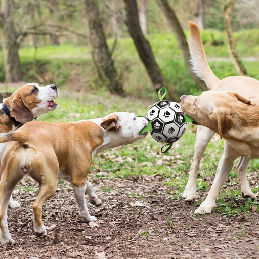 SOCCER Ball